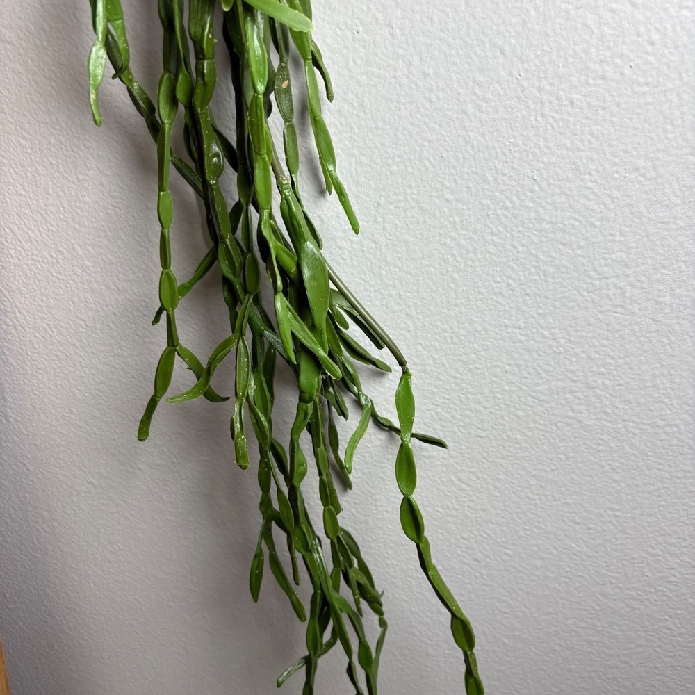 ~3.5ft Long Faux Chain Cactus Fake Plant Green Artificial Plant Stem Plastic